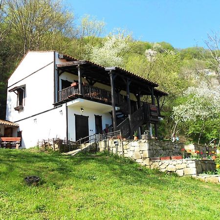 Milkovata Guest House Koshov Luaran gambar