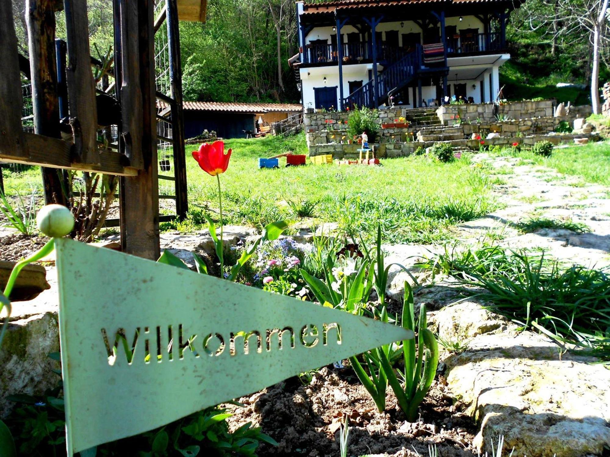 Milkovata Guest House Koshov Luaran gambar